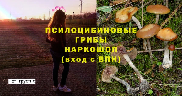 кокаин колумбия Алзамай