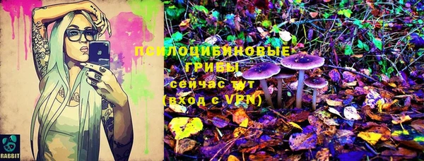 тгк Алексеевка