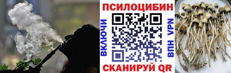 купить наркотик  Советск  Галлюциногенные грибы Magic Shrooms 